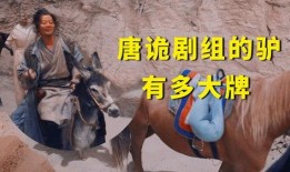 太子爷爆料二驴视频,二驴视频背后的惊人真相