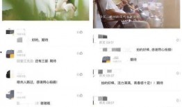 俊辰少爷语音爆料视频,揭秘幕后故事